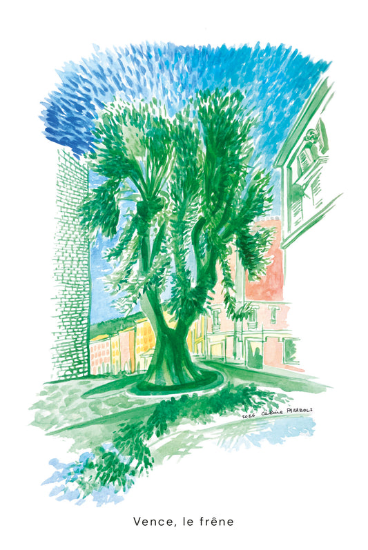 CartePostale-Vence-lefresne_150x100mm