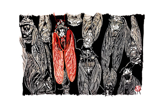 Motif de cigales japonaises