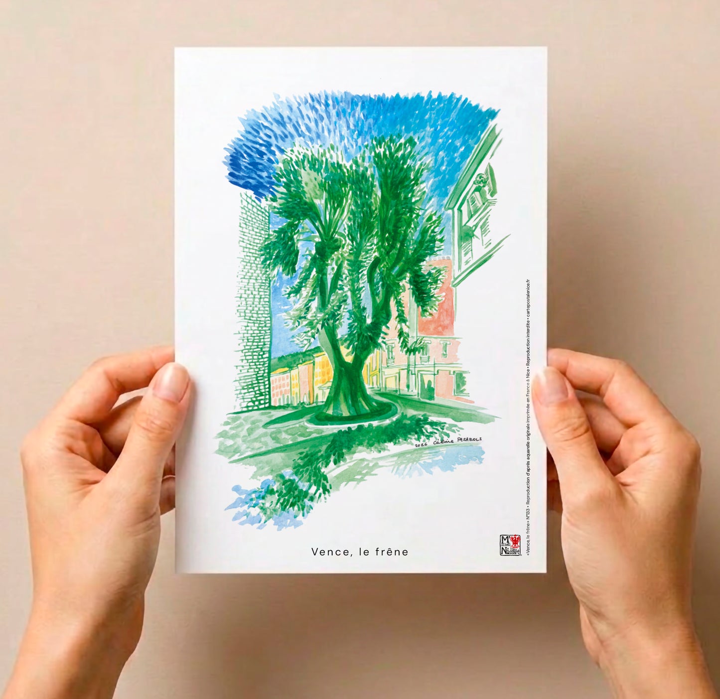 Aquarelle de Vence, le frêne