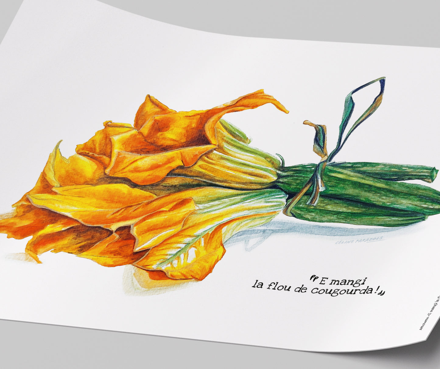 Ambiance-affichette-Fleur-courgette-avec-lien-focus