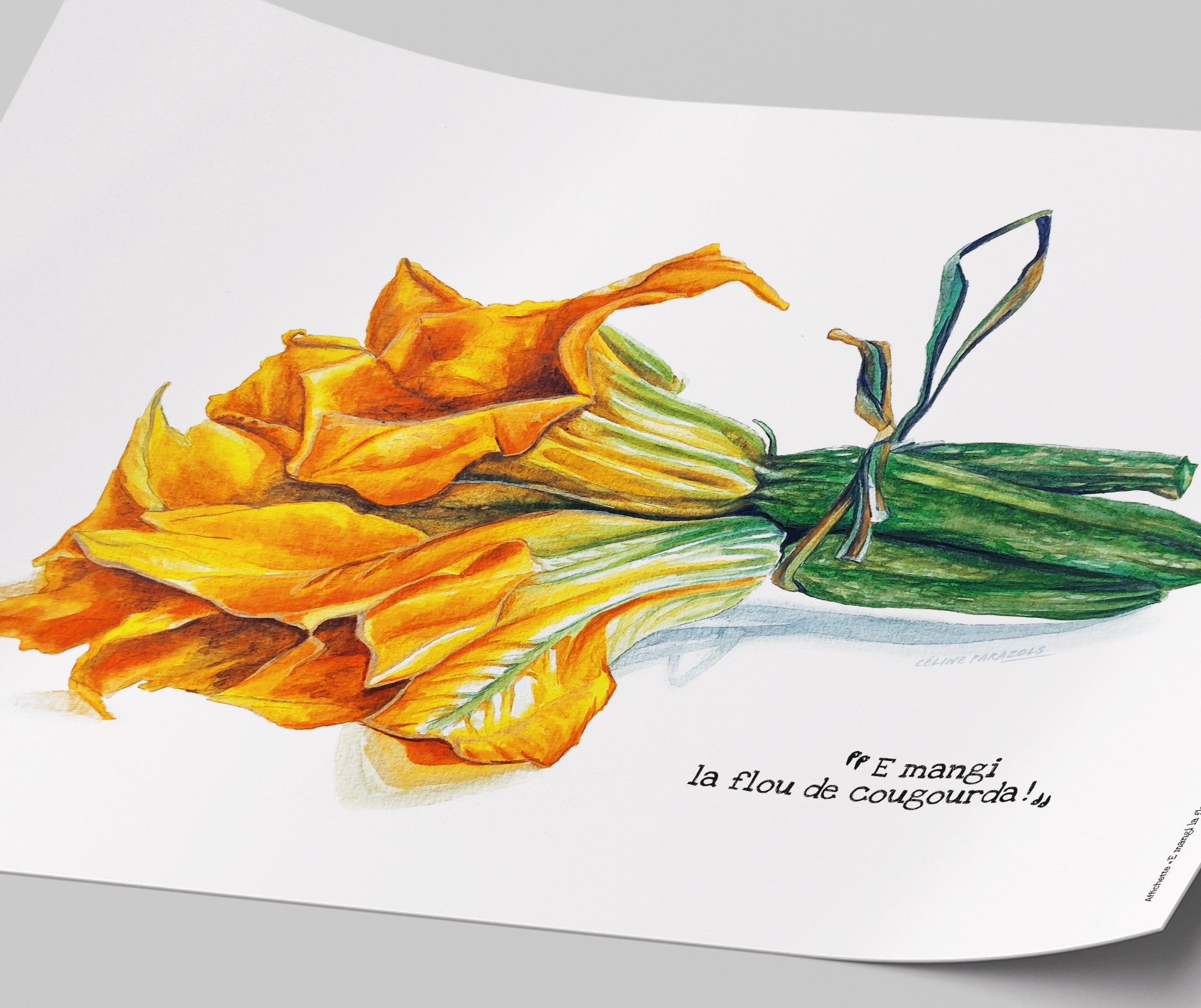 Ambiance-affichette-Fleur-courgette-avec-lien-focus