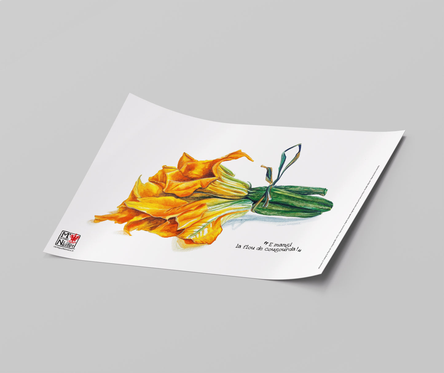 Affichette A4 - La Fleur de courgette