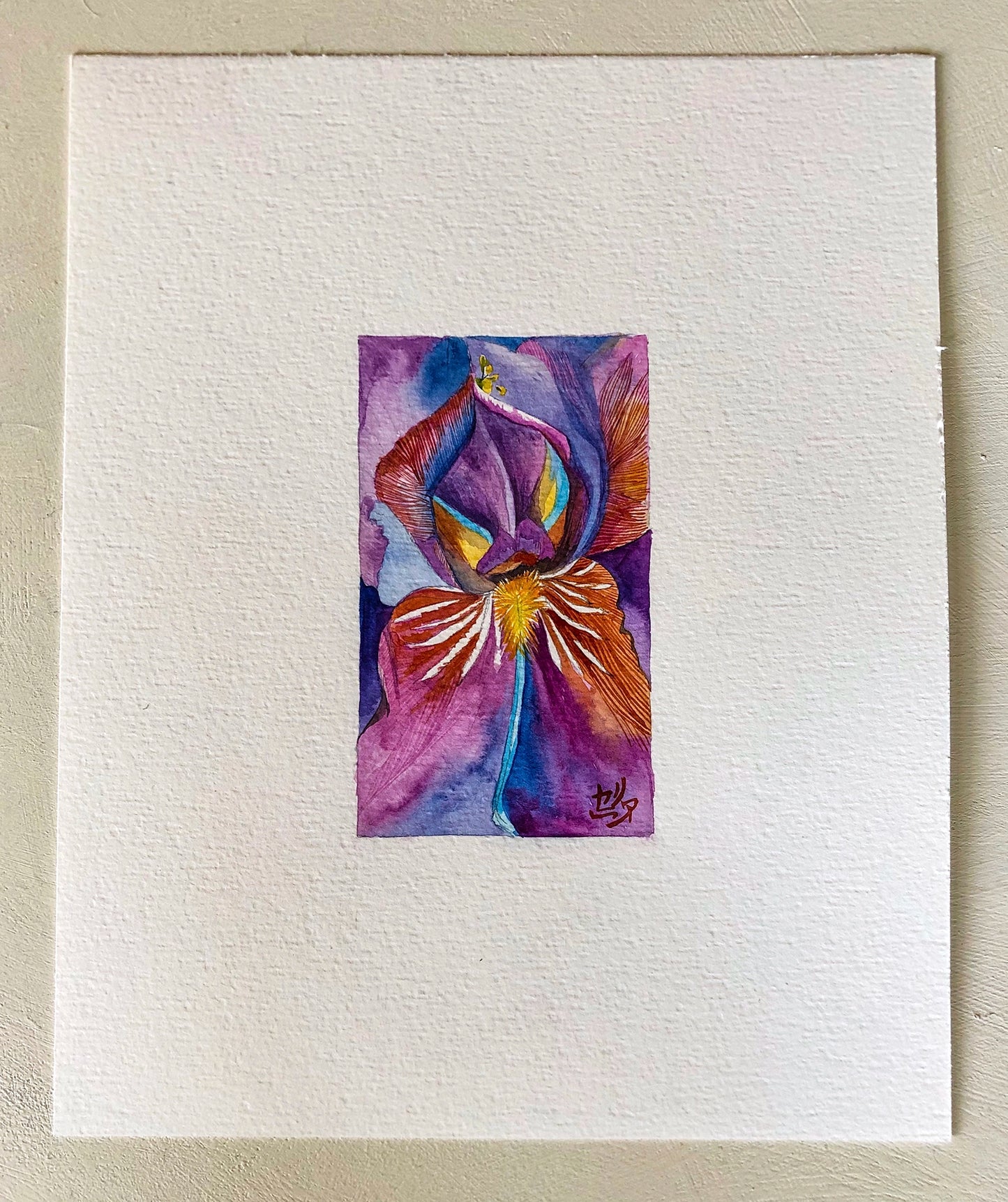 Aquarelle IrisVI
