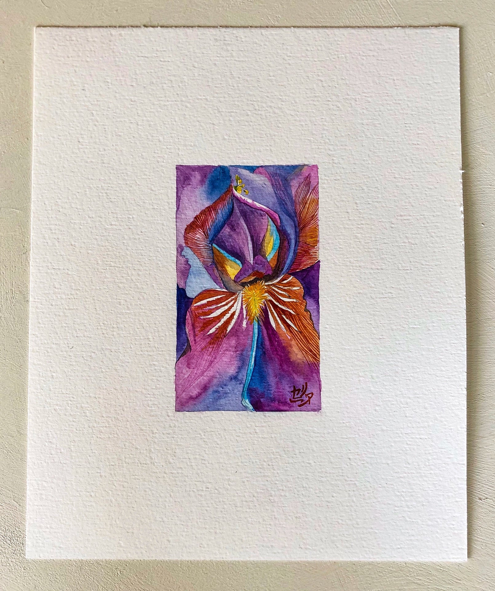 Aquarelle IrisVI