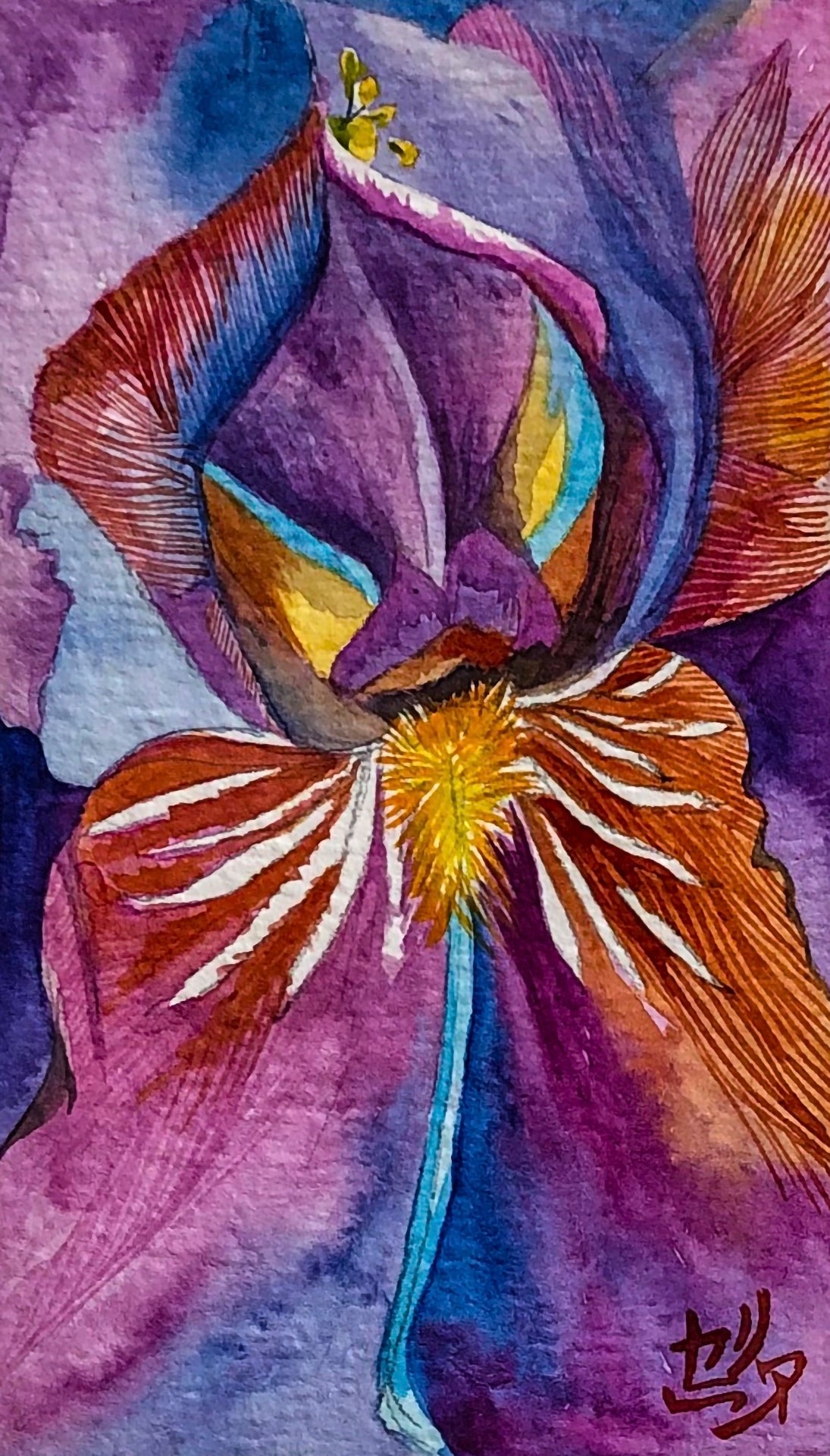 Aquarelle IrisVI focus