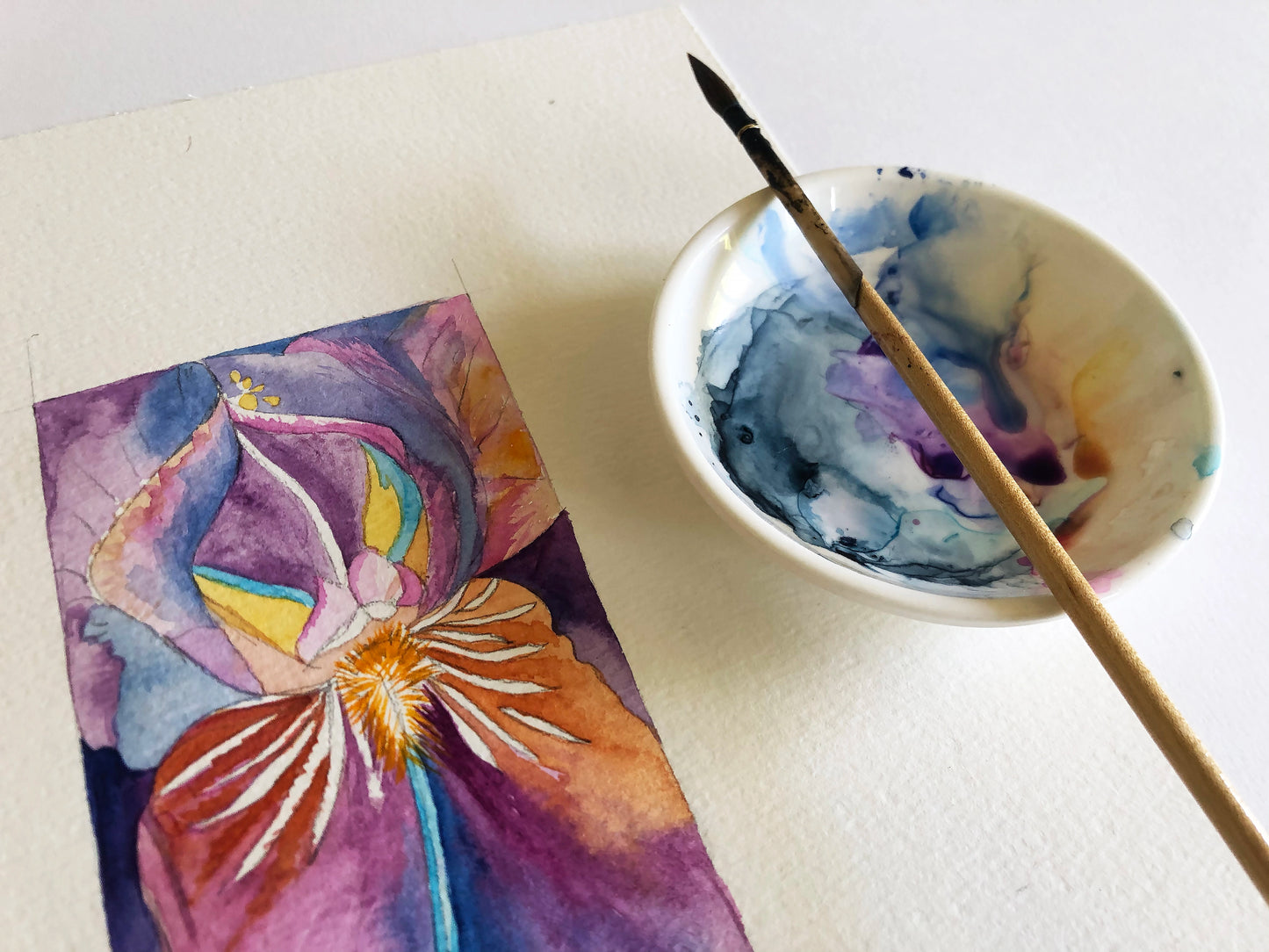 Aquarelle IrisVI focus, etape