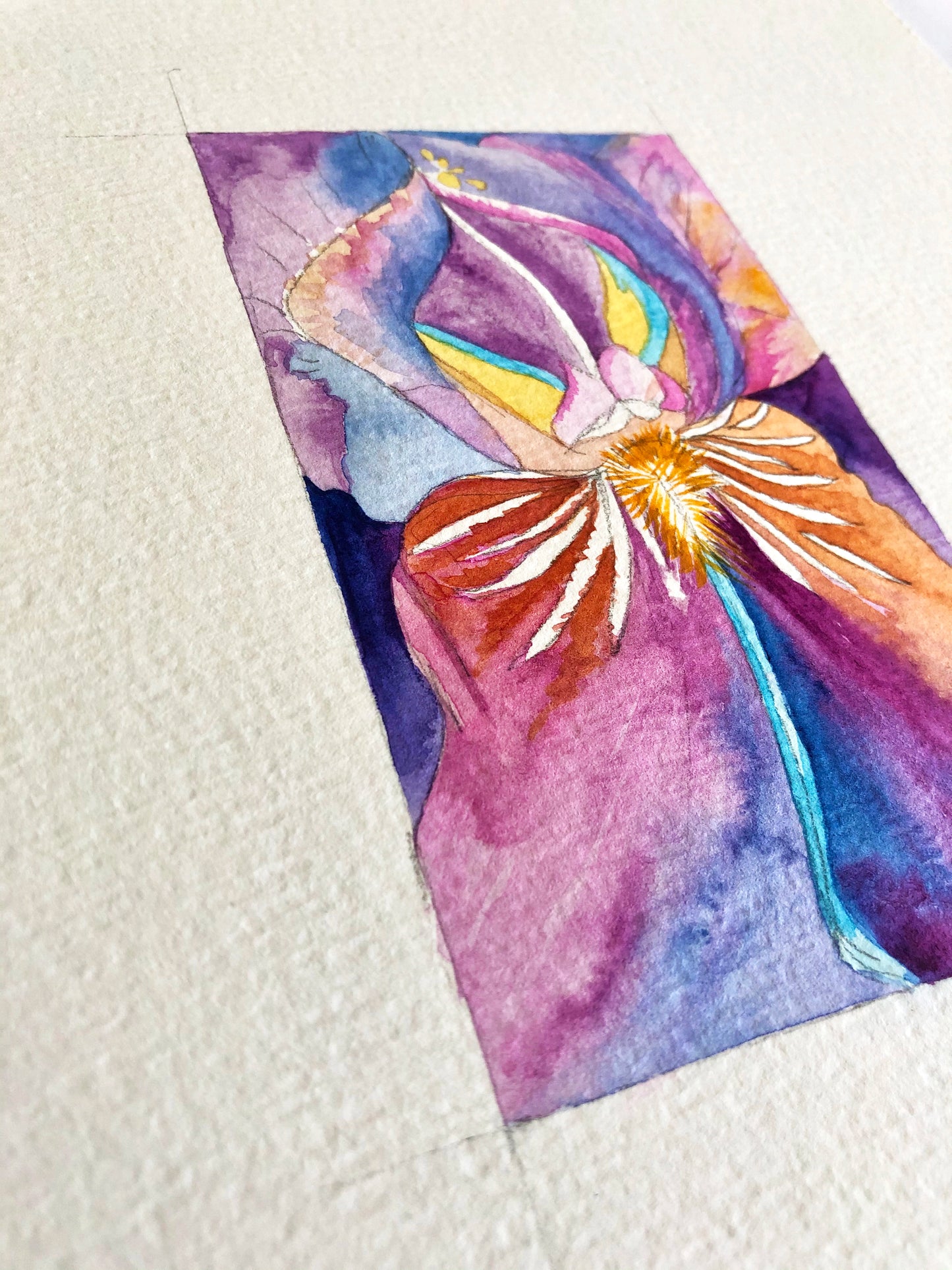 Aquarelle IrisVI focus, etape de creation