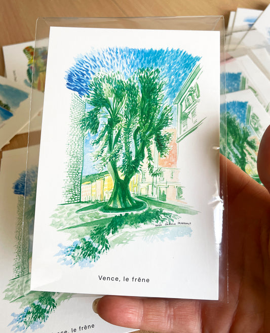 CP-ambiance-vence-le-frene