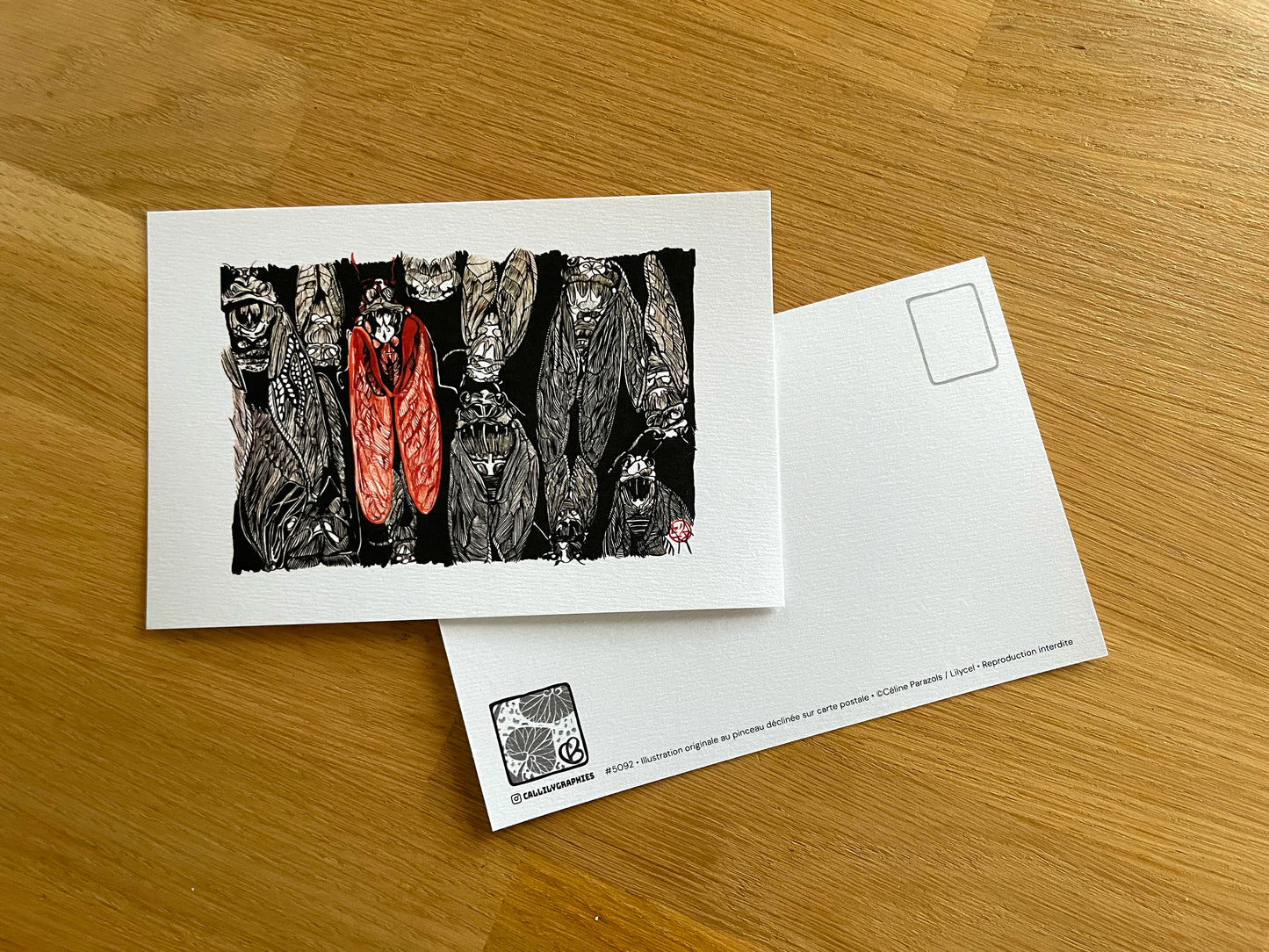 Motif de cigales japonaises