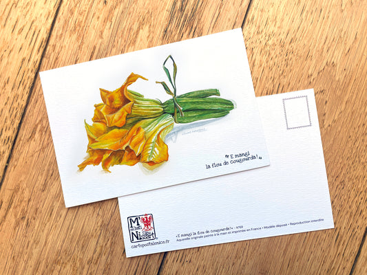 Carte-postale-Fleurs-de-courgettes avec lien