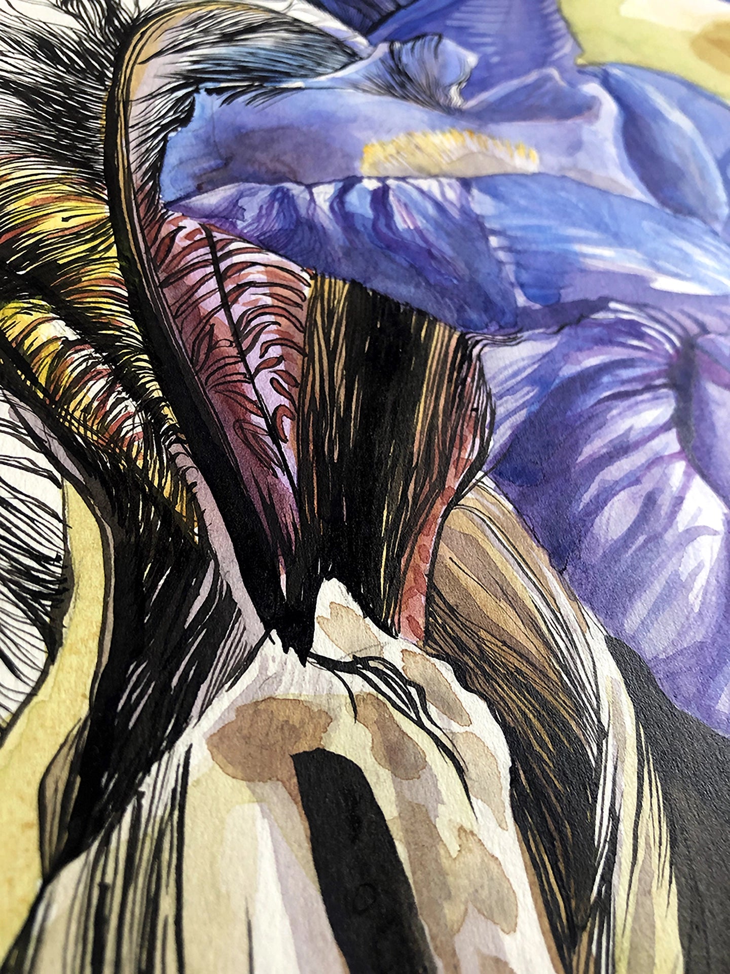 IrisII-focus sur l'aquarelle