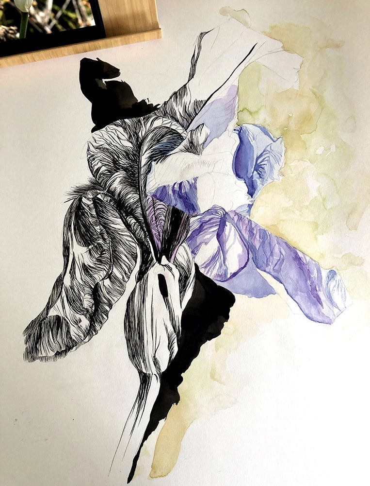 Lilycel-tableau aquarelle et encre Iris_II etape de peinture