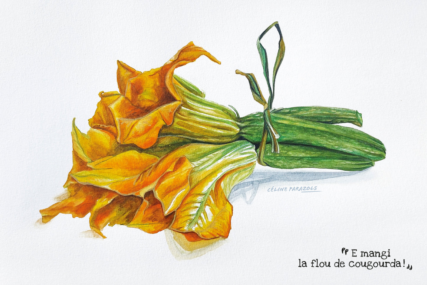 Nice Fleurs-de-courgettes avec lien