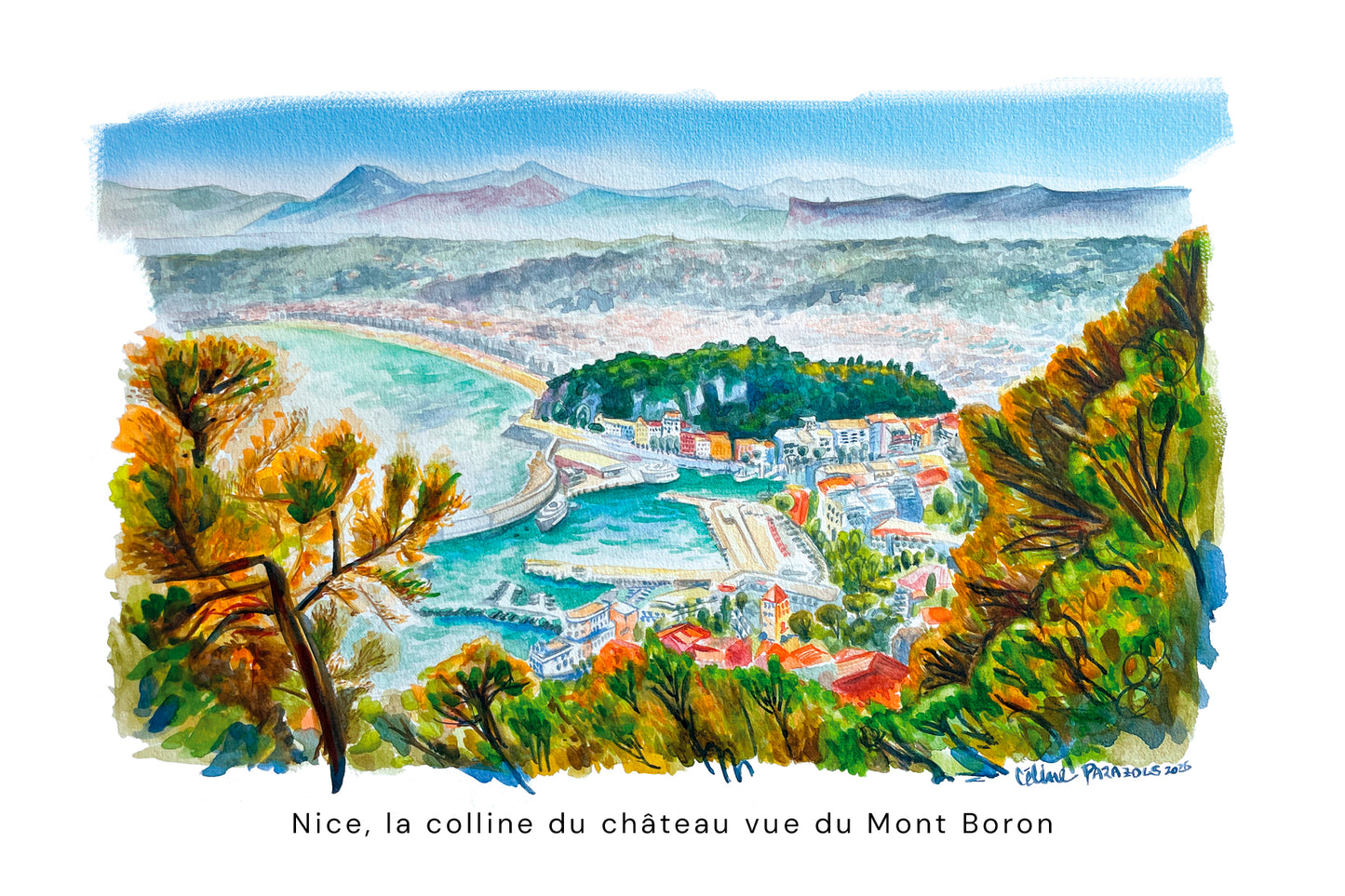 carte postale Nice-colline-du-chateau-vue-Mont-Boron