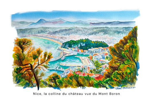 carte postale Nice-colline-du-chateau-vue-Mont-Boron