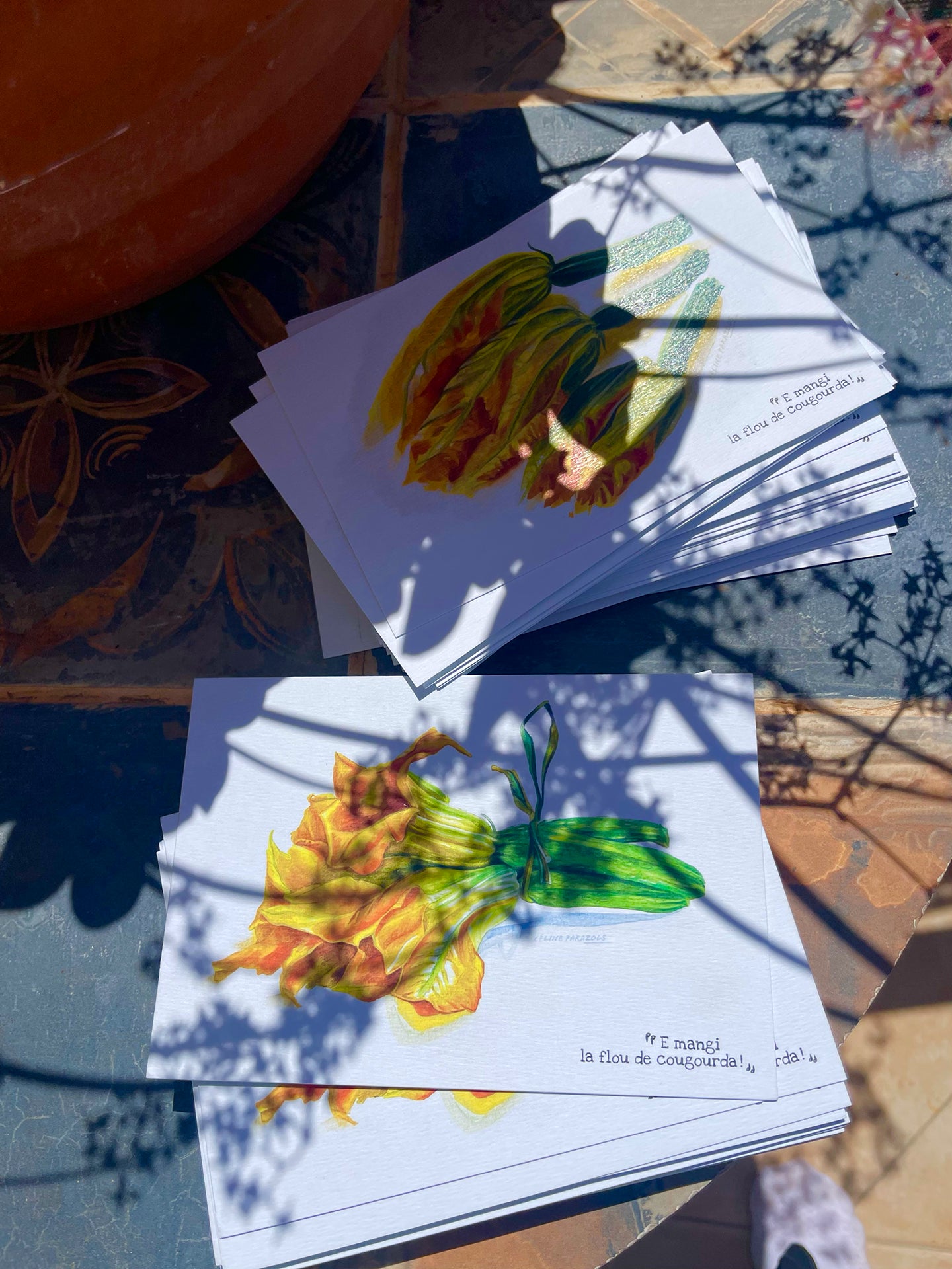 fleur-de-courgette-lien-ambiance