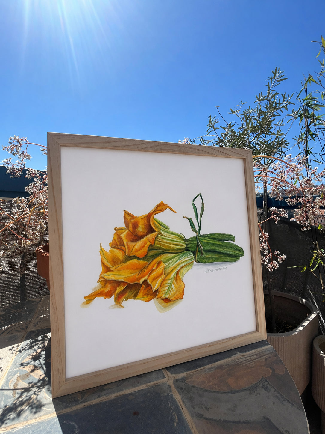 fleur-de-courgette-original