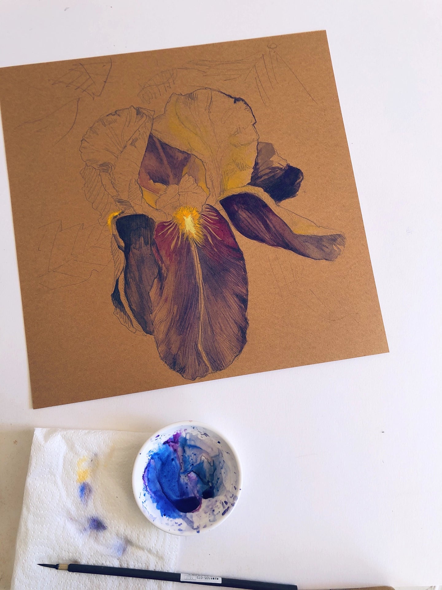 irisV-étapes de peinture aquarelle