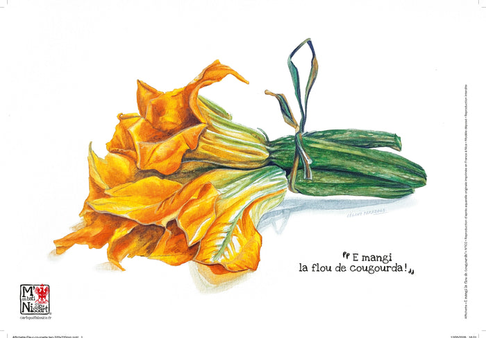 Affichette Fleur de courgette avec lien