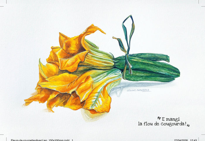 Fleurs de courgettes avec lien
