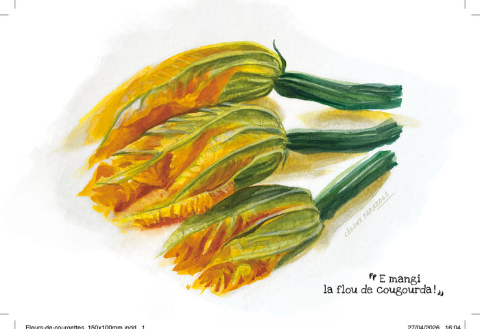 Fleurs de courgettes