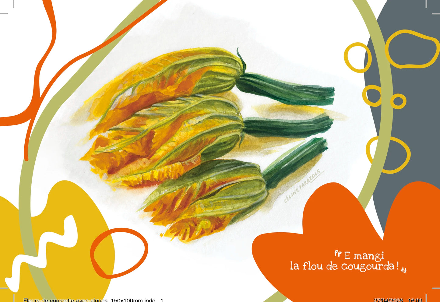 mbn-cartes-postales-150-x-100-mm-34-fleurs-de-courgette-avec-algues